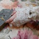 laceblousedetail